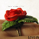 Необычное кольцо с розой и росой